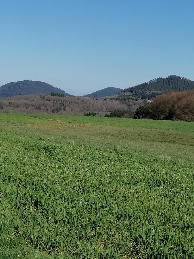 فيلا Air Paix Le Mont Herpelmont المظهر الخارجي الصورة